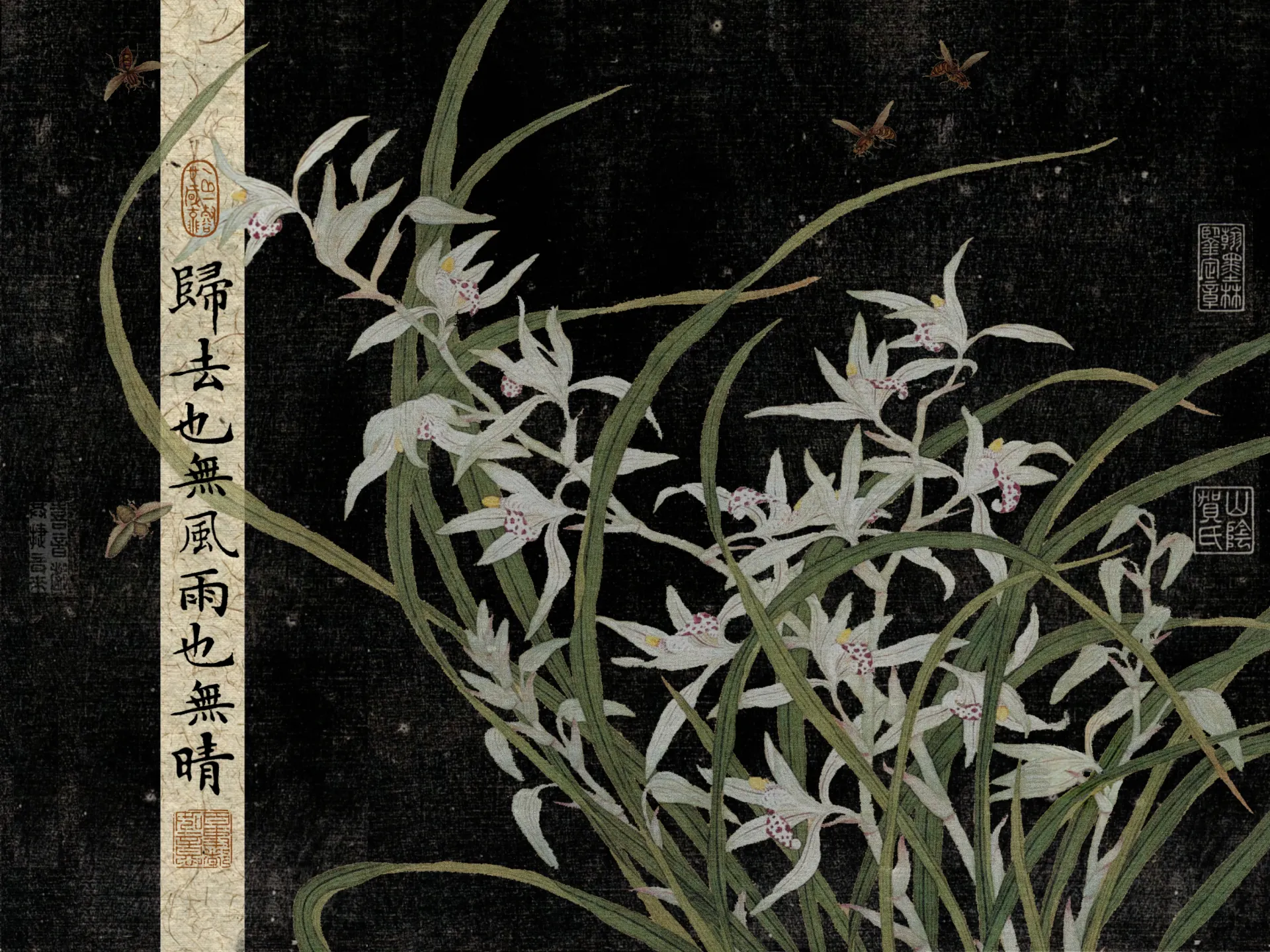 Elegant White Orchids on Dark Vintage Chinese Art Wallpaper