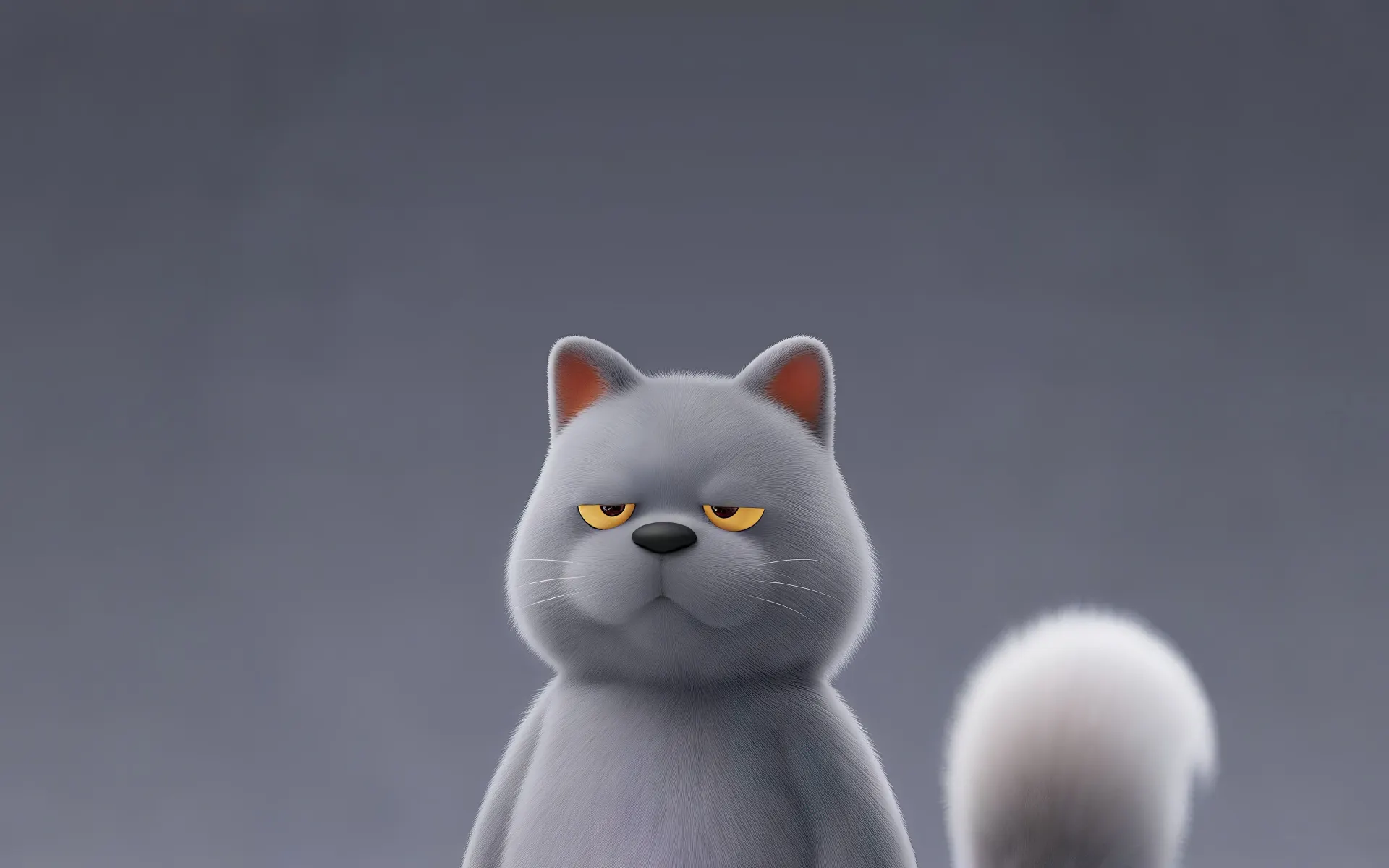 Grumpy Grey Cat on a Minimal Background Wallpaper