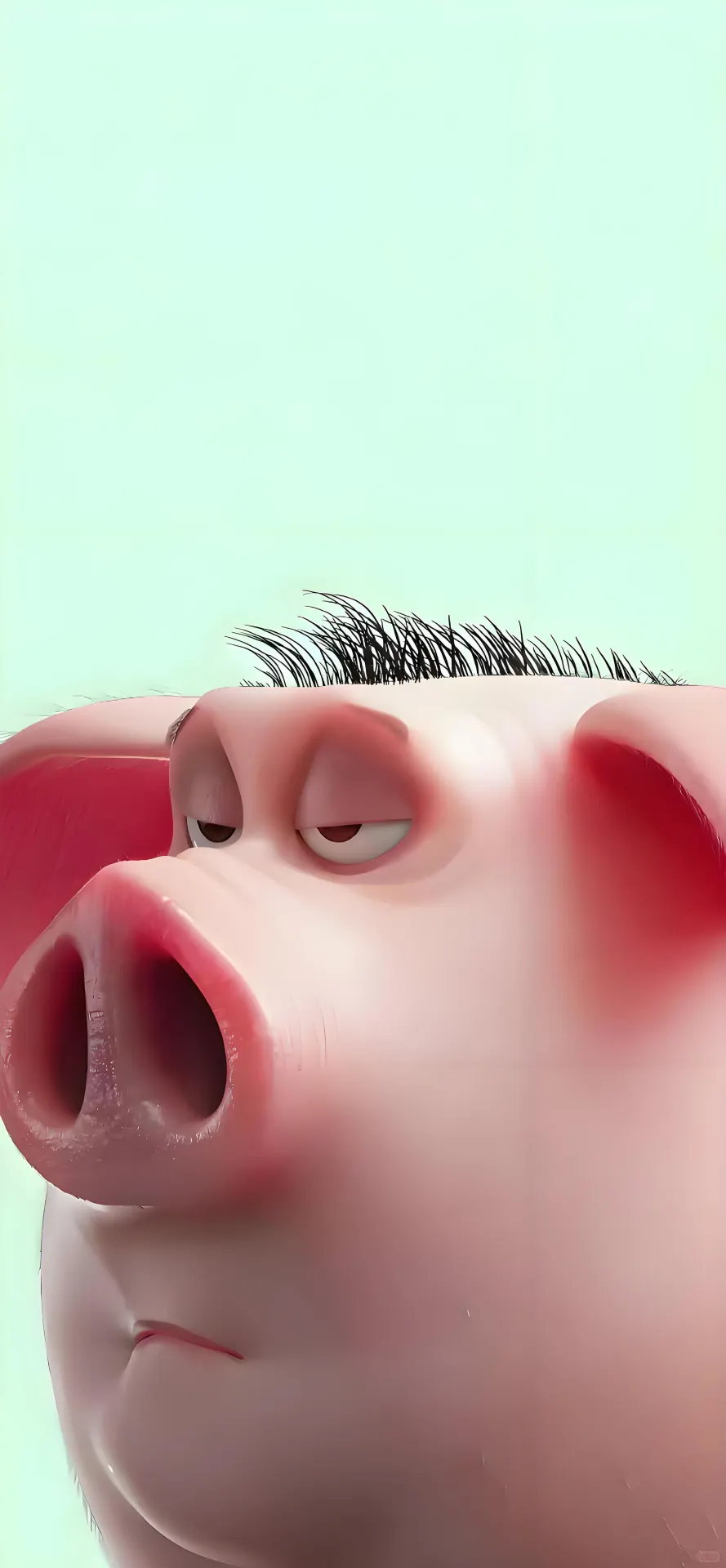 Grumpy Pink Pig Close-Up Phone Wallpaper