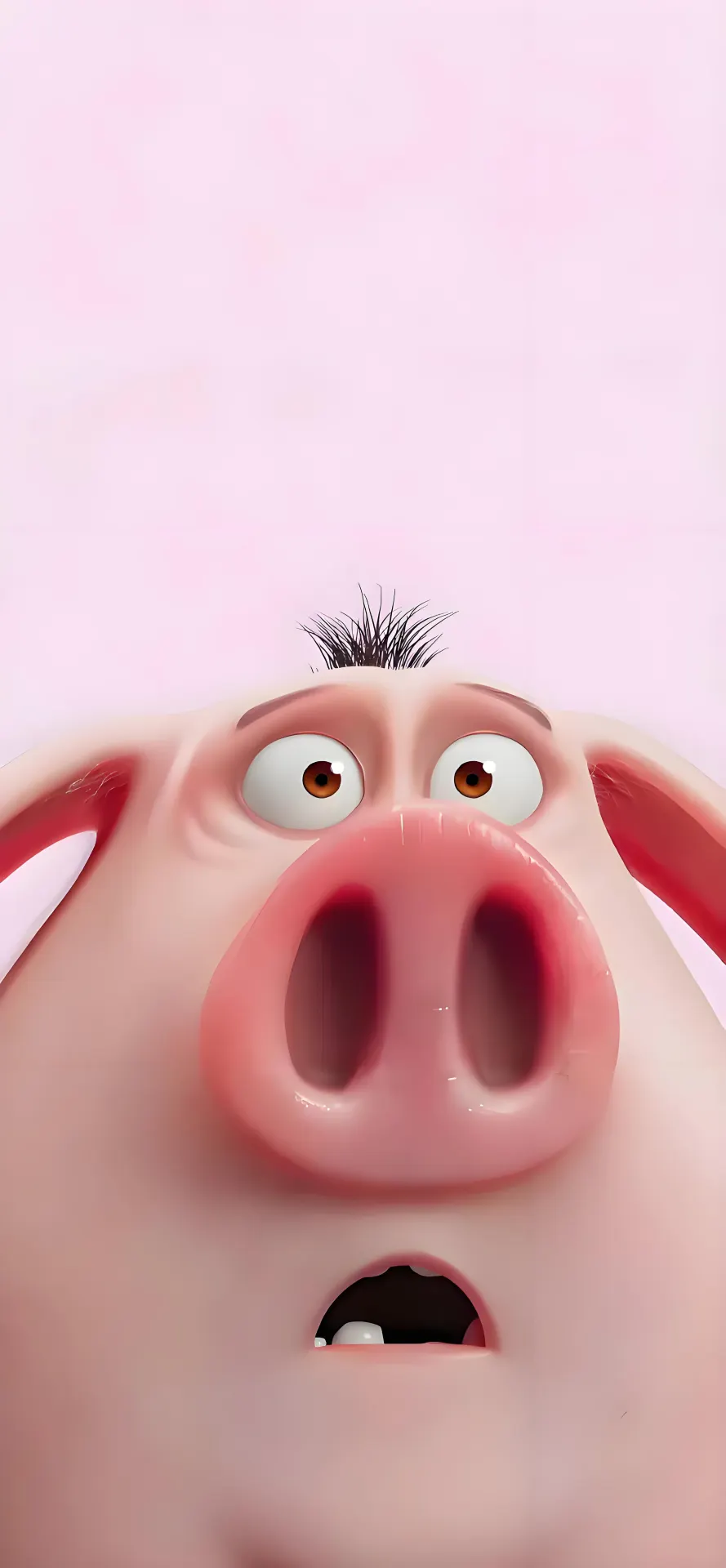 Worried Pink Pig Close-Up Phone Wallpaper