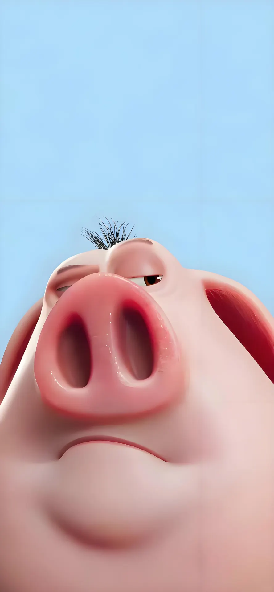 Suspicious Pink Pig Close-Up Phone Wallpaper