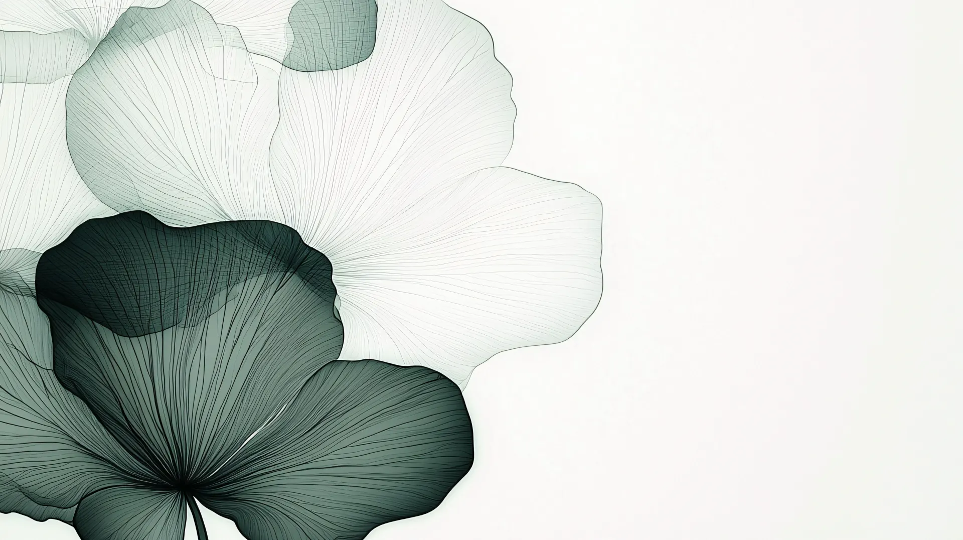 Minimalist Green Botanical Line Art Wallpaper