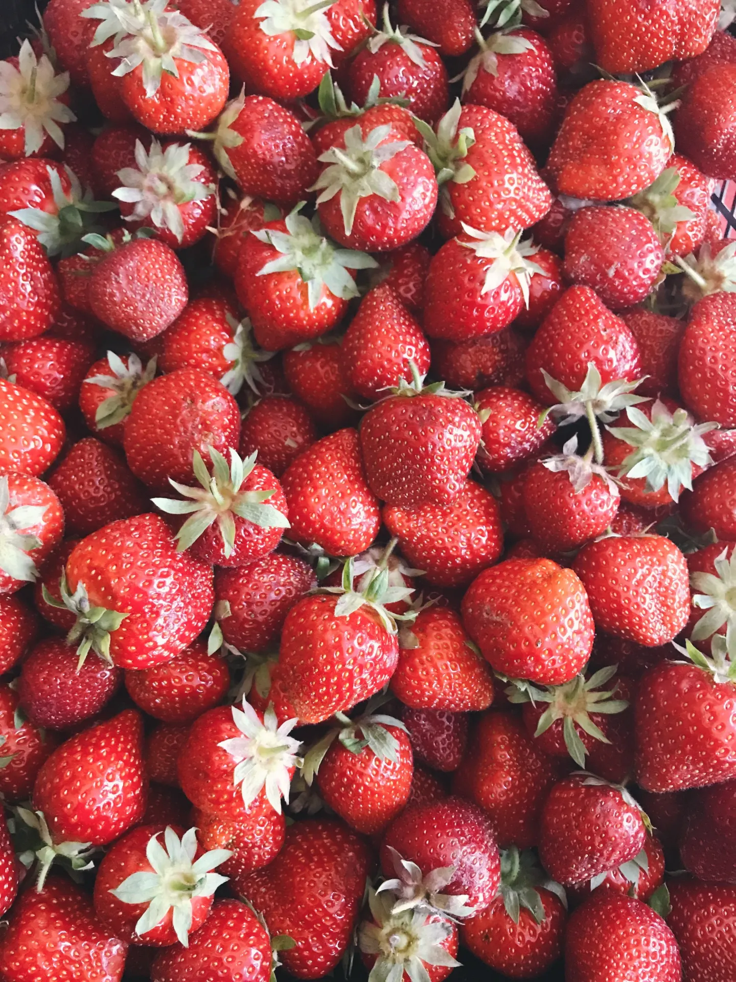 Fresh Red Strawberry Fruit Wallpaper