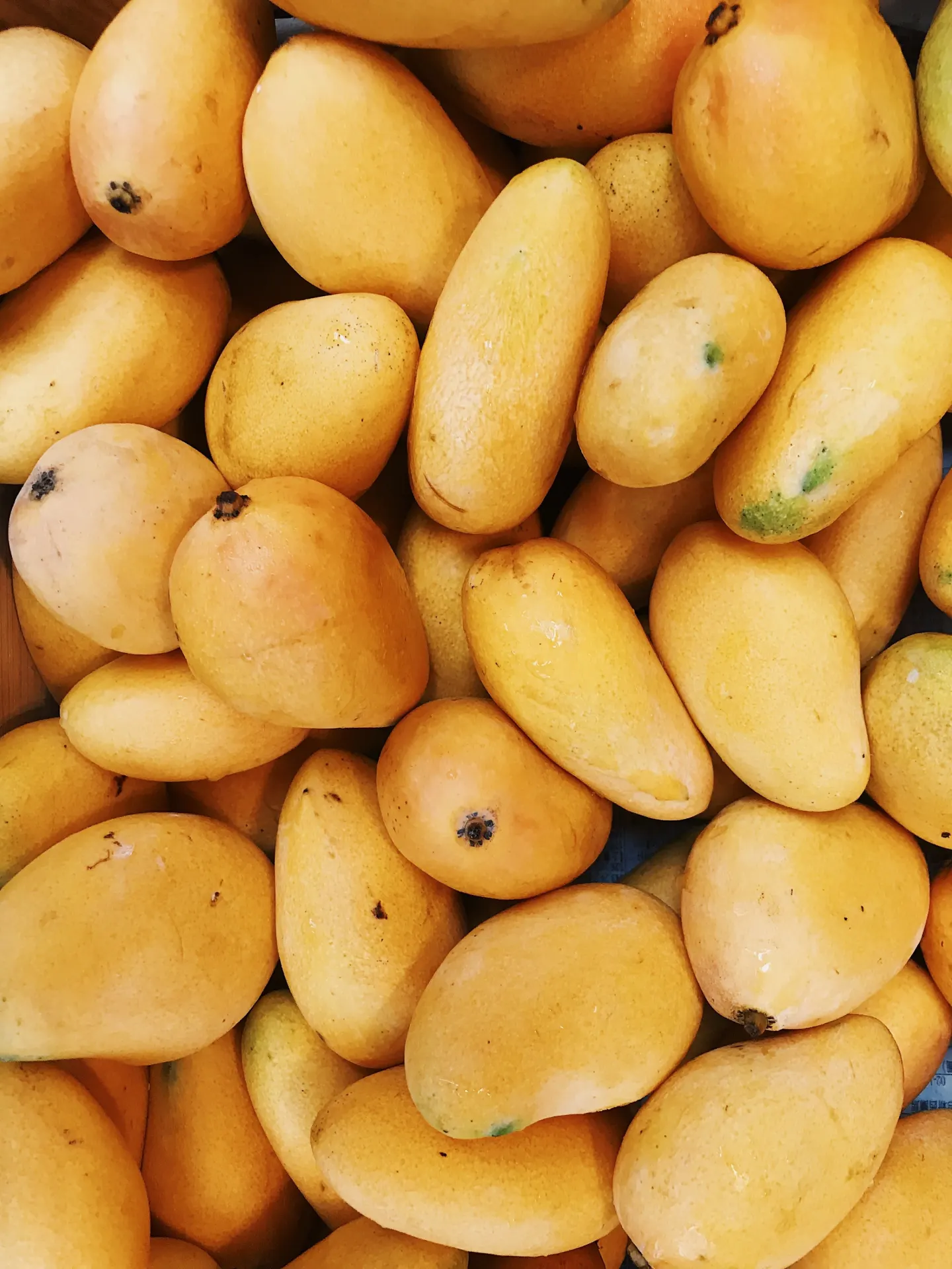 Fresh Ripe Golden Mangoes Fruit Wallpaper