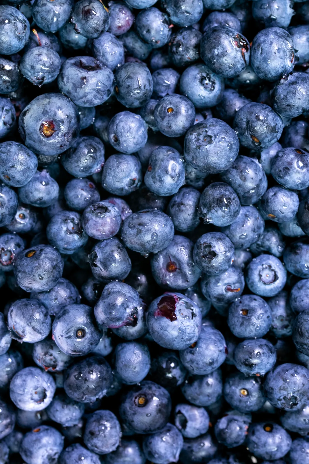 Fresh Blueberries Macro Fruit Wallpaper