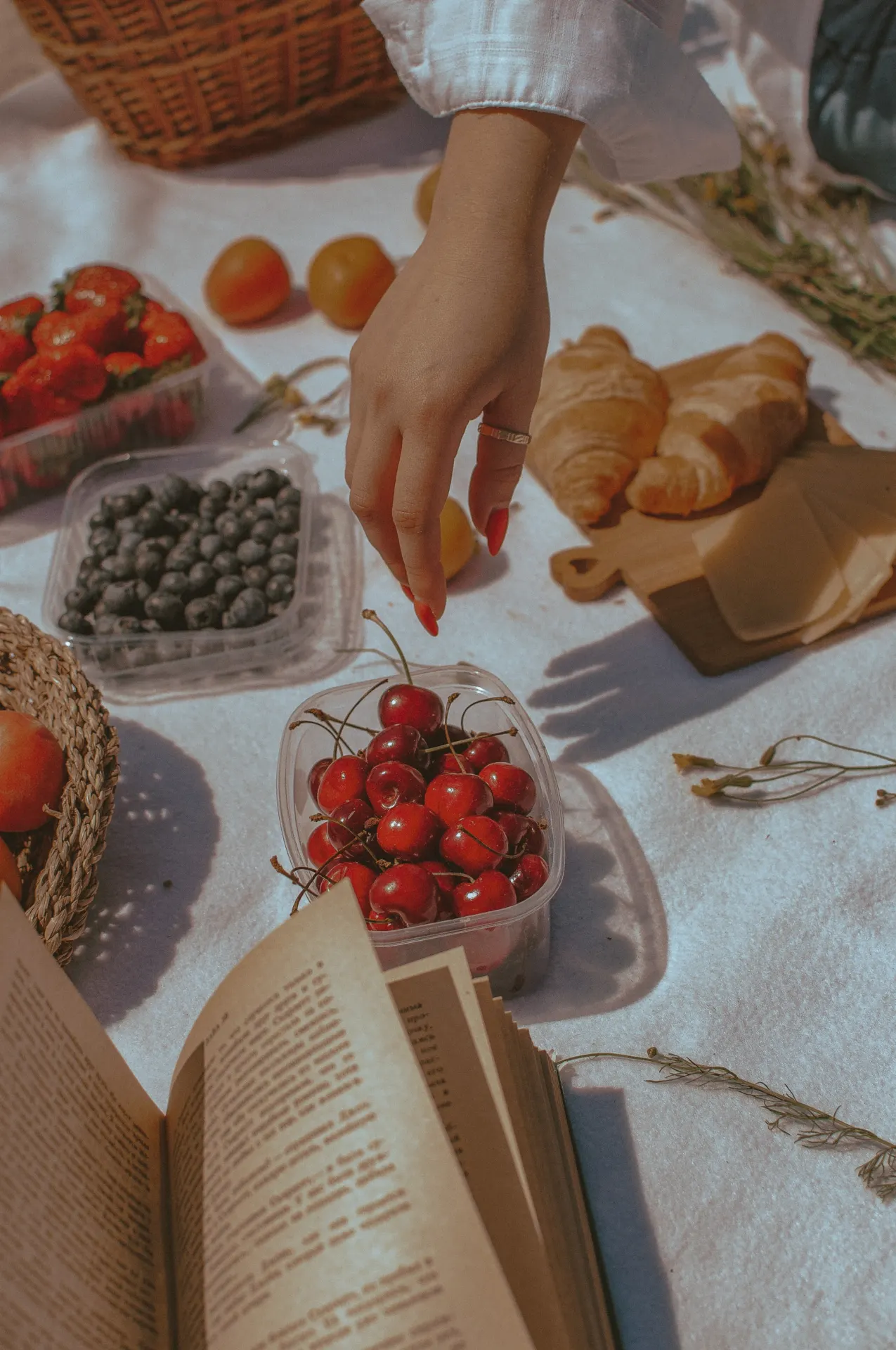 Summer Fruit Picnic with Cherries and Berries Wallpaper