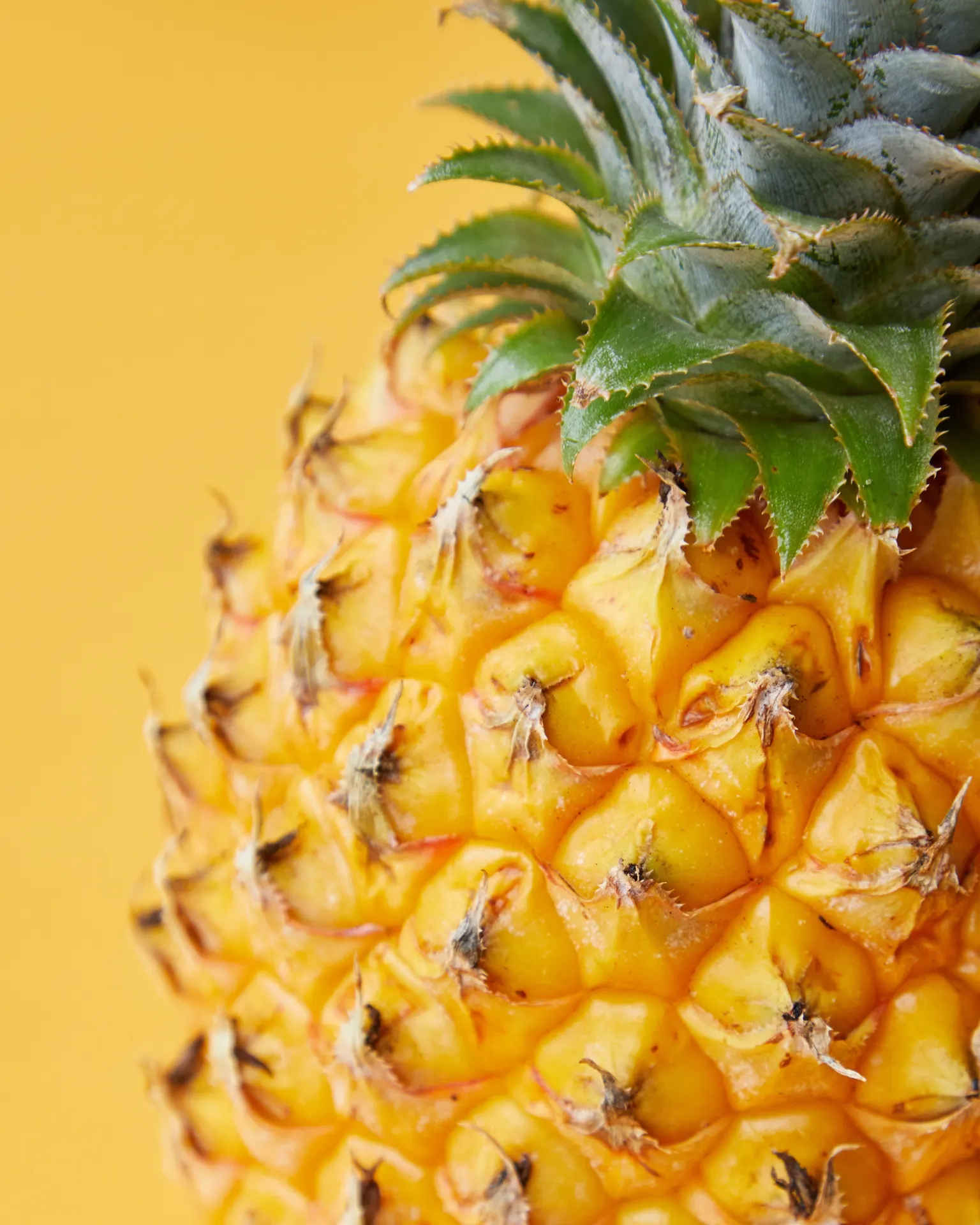 Fresh Golden Pineapple Tropical Fruit Wallpaper