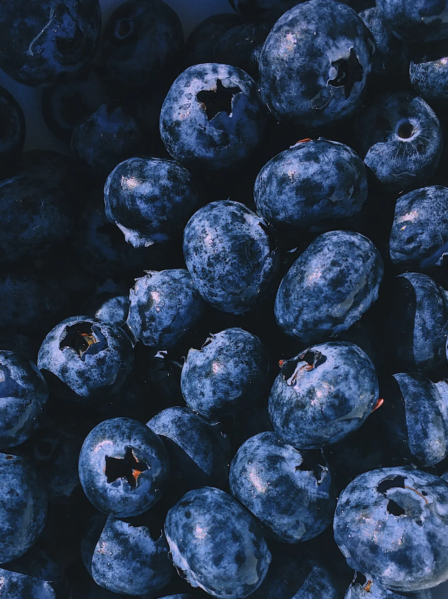 Fresh Blueberries Macro Photography Wallpaper