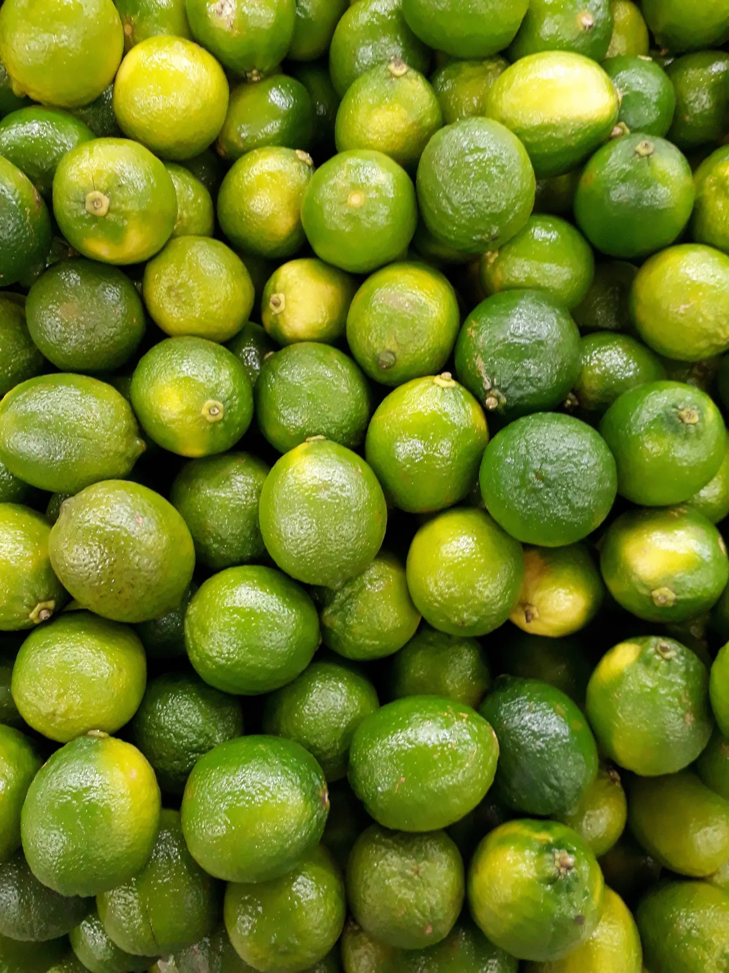 Fresh Green Limes Close-Up Fruit Wallpaper