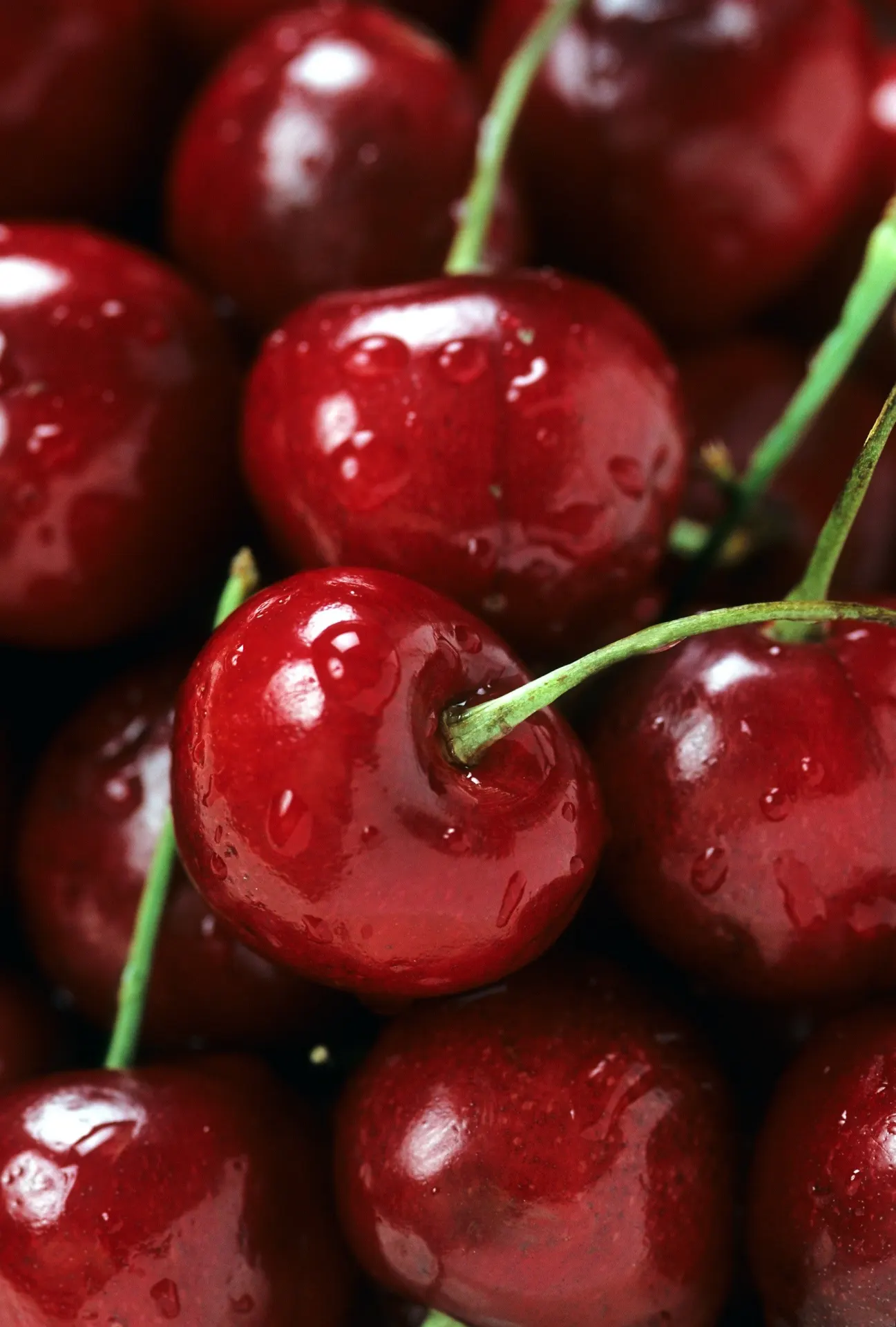 Fresh Red Cherries Close-Up Wallpaper