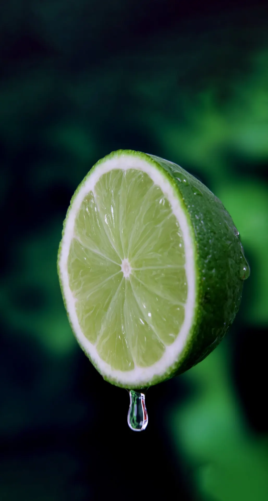 Fresh Green Lime Slice Wallpaper