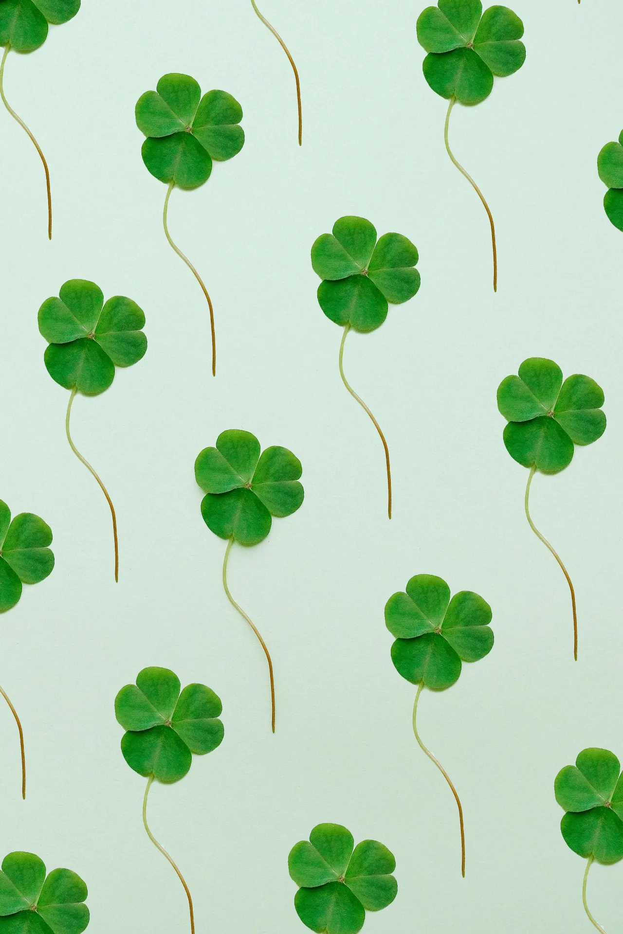 Green Four Leaf Clover Minimalist Wallpaper