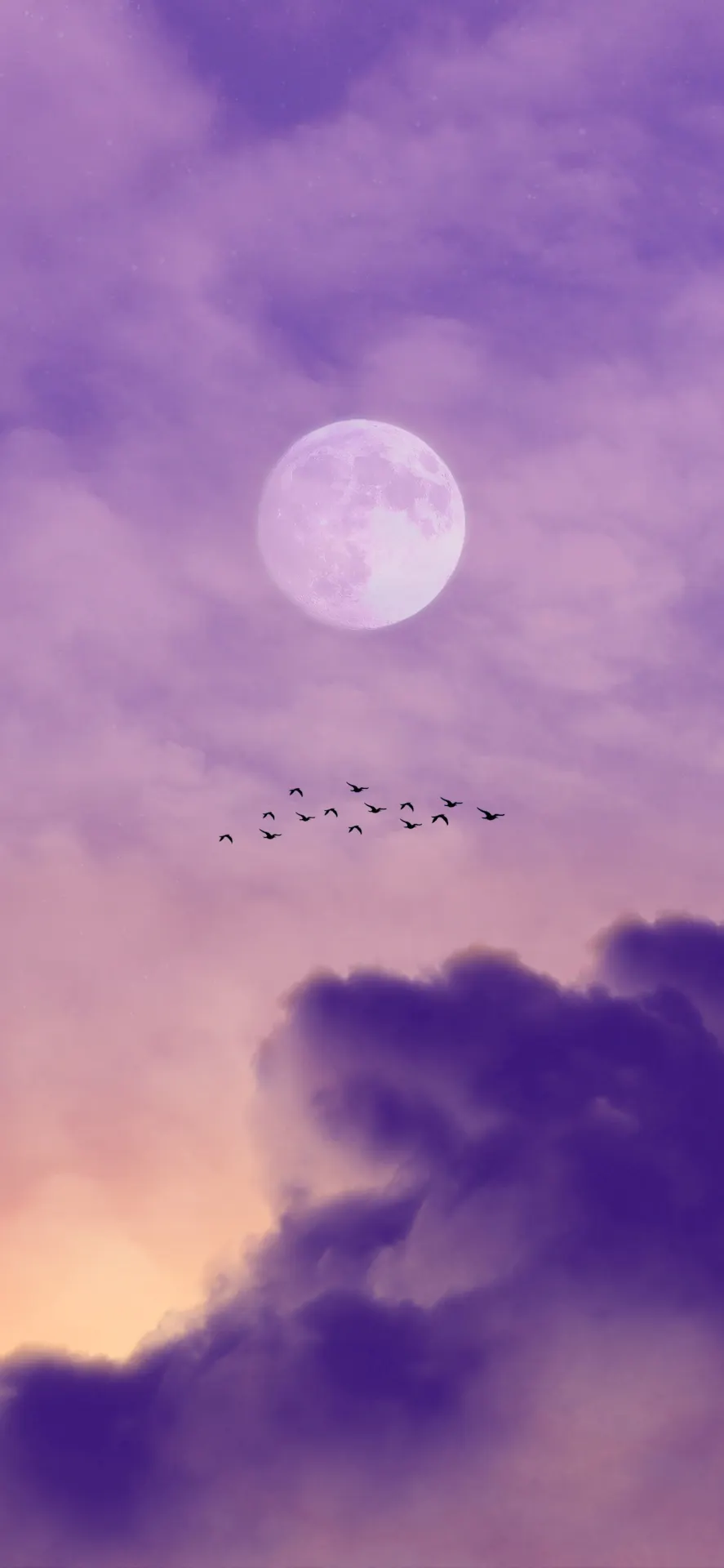 Purple Moon Clouds and Flying Birds Wallpaper