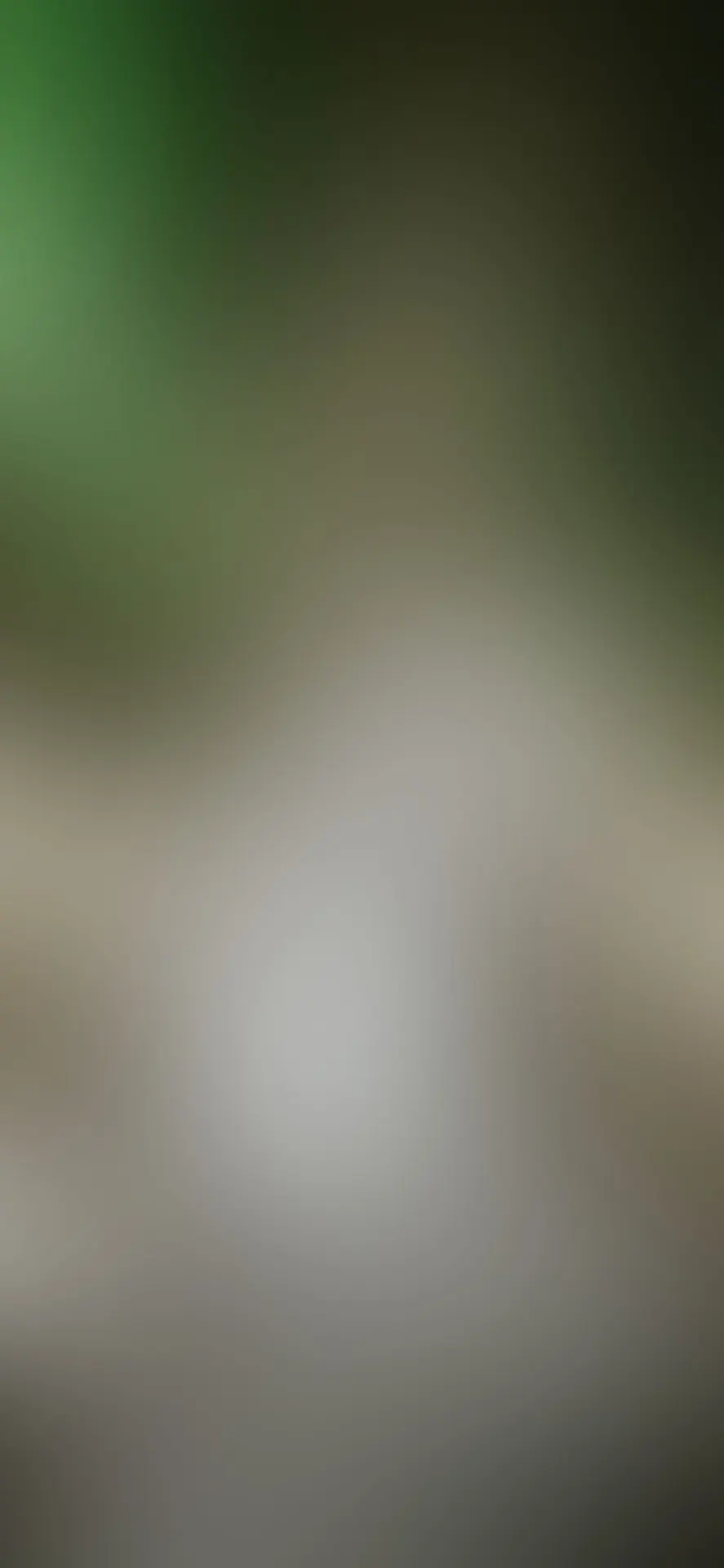Soft Green and Grey Blurred Gradient Wallpaper